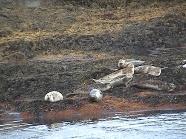Gönguferð 2004 069