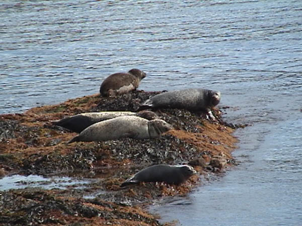 Gönguferð 2004 076