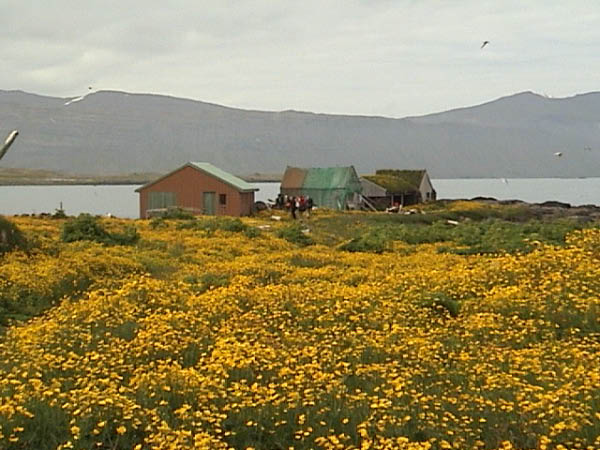 Gönguferð 2004 125