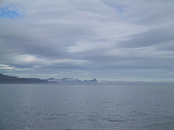 IMG_1320