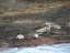 Gönguferð 2004 069