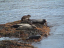 Gönguferð 2004 076