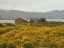 Gönguferð 2004 125